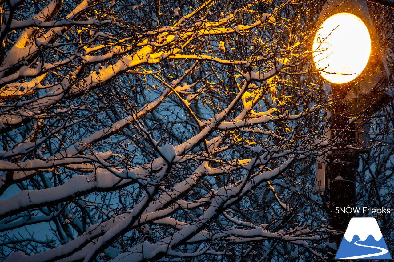 札幌国際スキー場｜待ちに待った天然雪がたっぷり！ふかふかの粉雪と戯れる、贅沢な2021-2022ウィンターシーズン『初滑り』☆